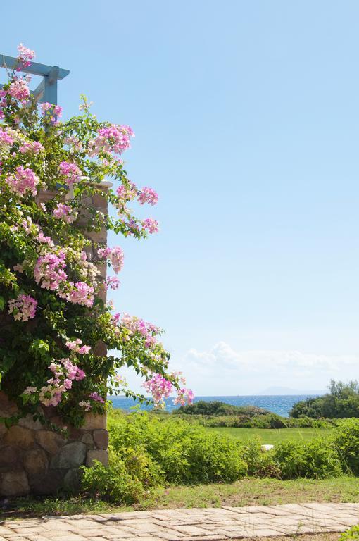 Neapoli Villas Neápolis 外观 照片